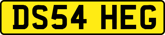 DS54HEG