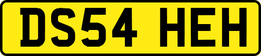 DS54HEH