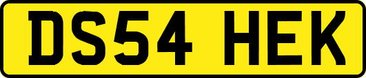 DS54HEK