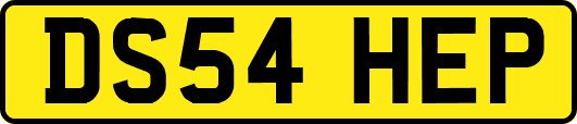 DS54HEP