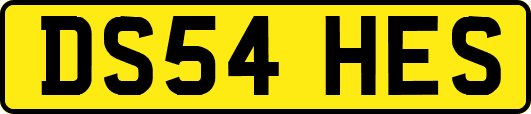 DS54HES