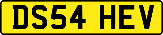 DS54HEV