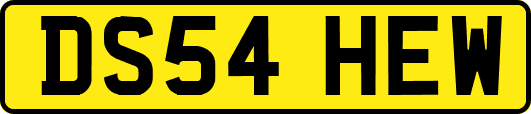 DS54HEW