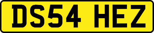 DS54HEZ