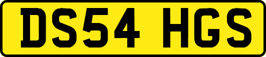DS54HGS