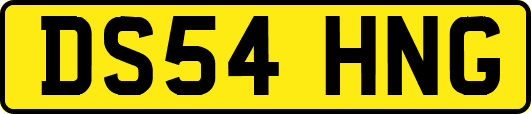 DS54HNG