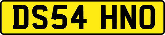 DS54HNO
