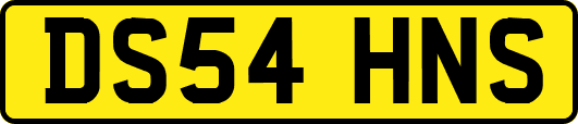 DS54HNS