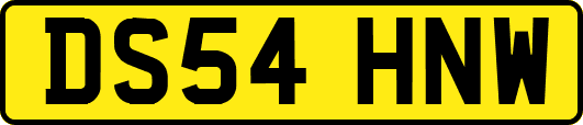DS54HNW