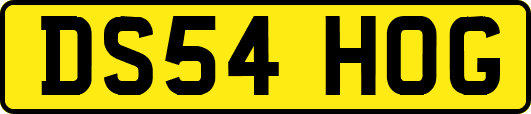 DS54HOG