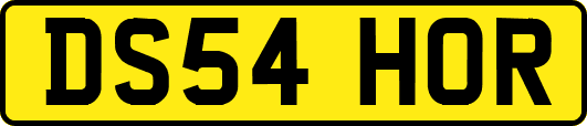 DS54HOR
