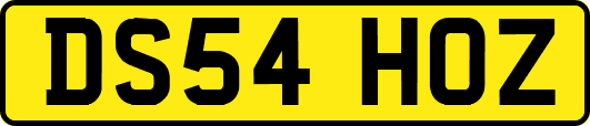 DS54HOZ