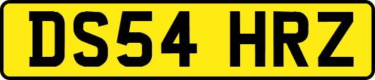 DS54HRZ
