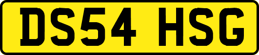DS54HSG