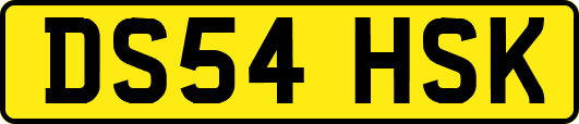 DS54HSK