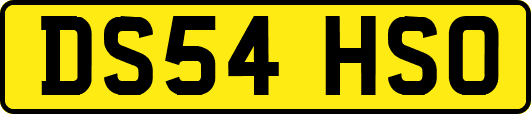 DS54HSO