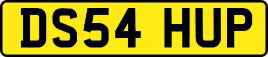DS54HUP