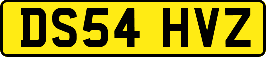 DS54HVZ