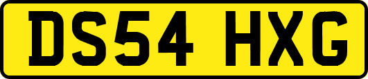 DS54HXG