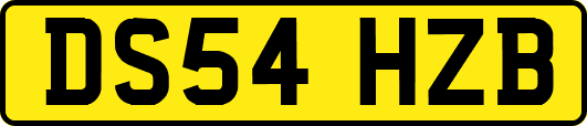 DS54HZB