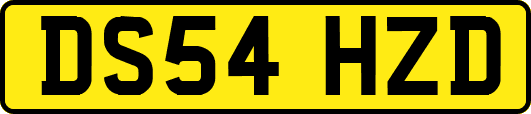 DS54HZD