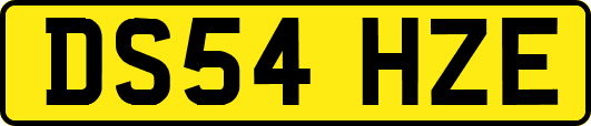 DS54HZE