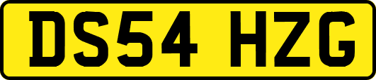 DS54HZG