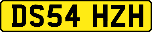 DS54HZH