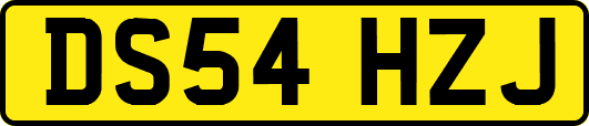 DS54HZJ