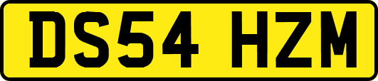 DS54HZM