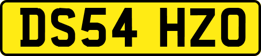 DS54HZO