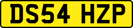 DS54HZP