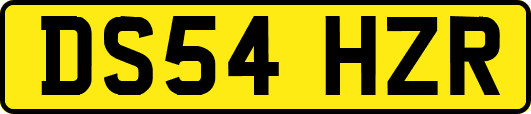 DS54HZR