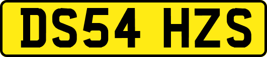 DS54HZS