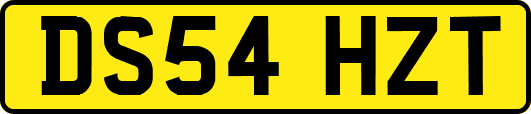 DS54HZT