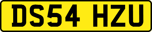 DS54HZU