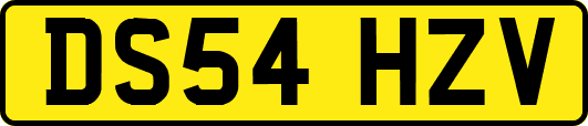 DS54HZV