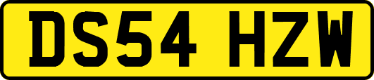 DS54HZW