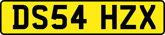 DS54HZX