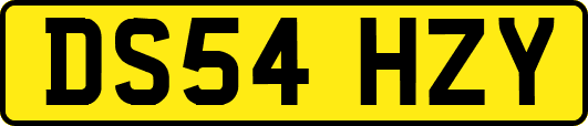 DS54HZY