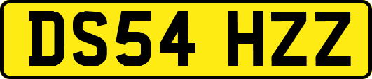 DS54HZZ