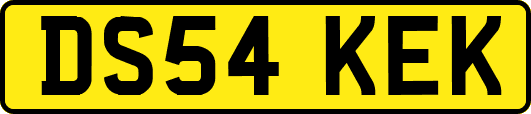 DS54KEK