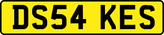 DS54KES