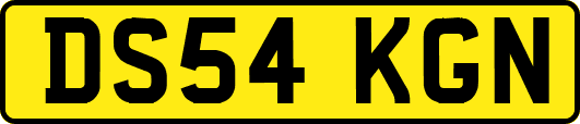 DS54KGN