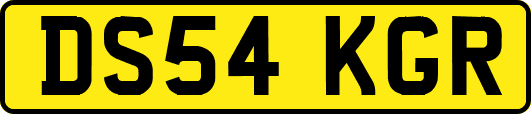 DS54KGR
