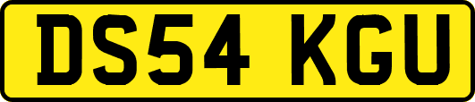 DS54KGU