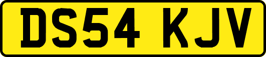 DS54KJV