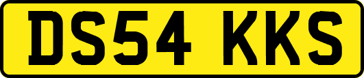 DS54KKS