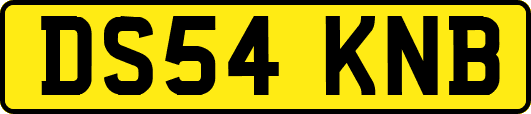 DS54KNB