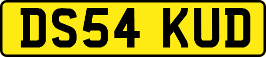 DS54KUD
